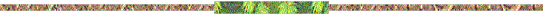 ---